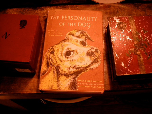 Personality-of-a-Dog