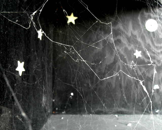 dusty-universe