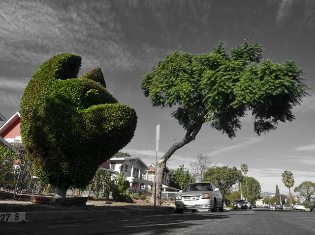 Cat-topiary