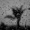 rain window