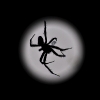 spider moon